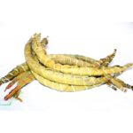 Bobolo (Cassava)